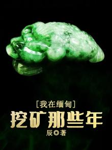 我在缅甸挖矿那些年免费阅读