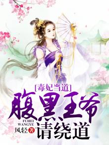 毒妃当道腹黑王爷请绕道免费阅读