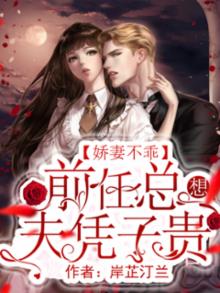 娇妻不乖:前任总想夫凭子贵