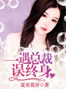 一见总裁误终身