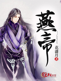 燕帝壁挂炉售后
