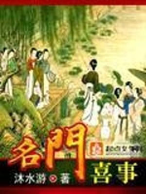 名门喜事小说
