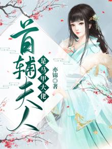 首辅夫人的小说