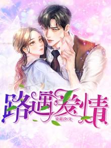 路遇爱情电视剧免费观看