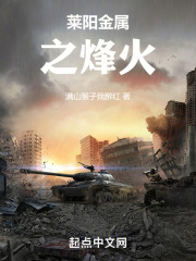 莱阳金属之烽火小说