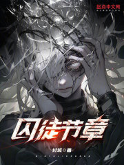 小说囚徒番外