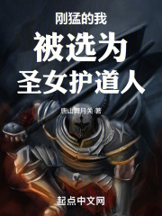 刚猛的我被选为圣女护道人