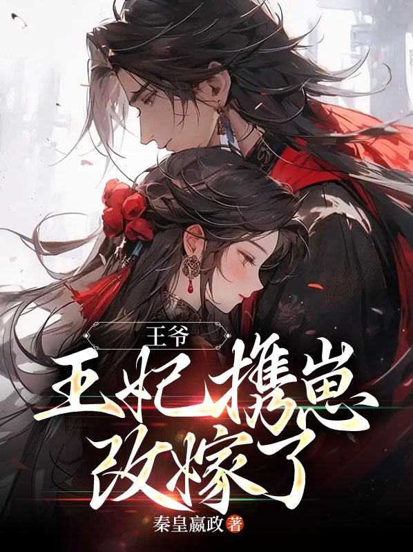 王爷,王妃又改嫁了