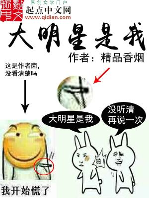 大明星是我笔趣阁