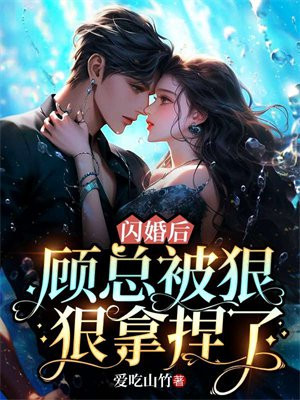 顾总,闪个婚吧 小说
