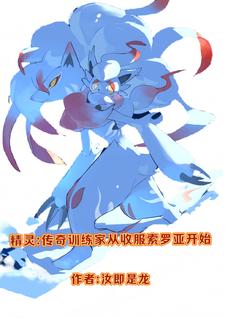 精灵之传奇训练家主角一直是火箭队的吗