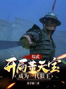 综武:开局董天宝,成为一代狠王TXT
