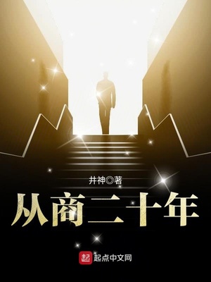 从商二十年好看吗