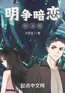 明争暗恋的法则小说