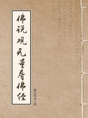 无量寿佛经原文及翻译