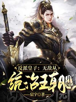 反派皇子走