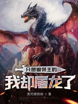 只想做领主的我却屠龙了下载