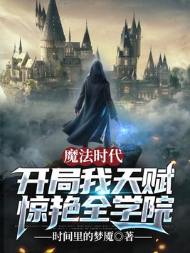 魔法时代 小说