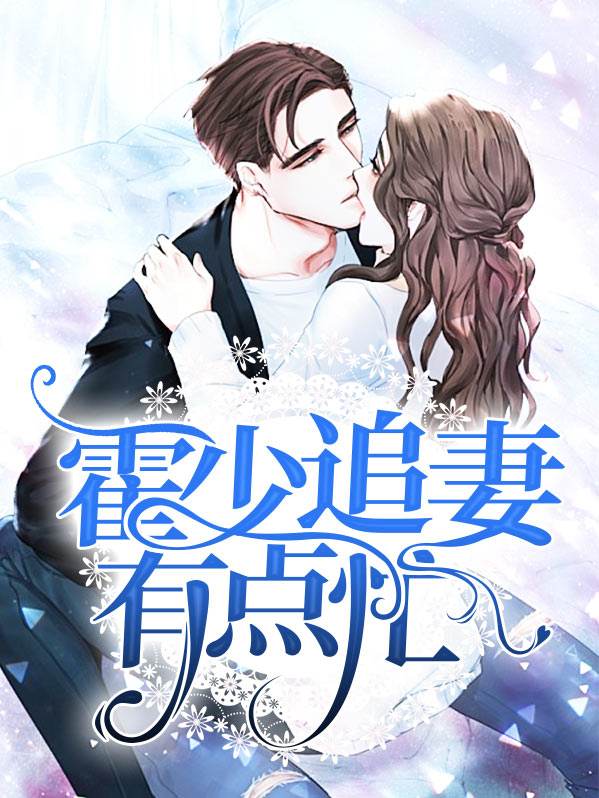 叶少追妻有点忙
