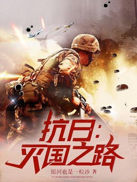 抗日:灭国之路小说