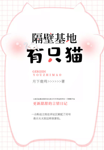 隔壁基地有只猫
