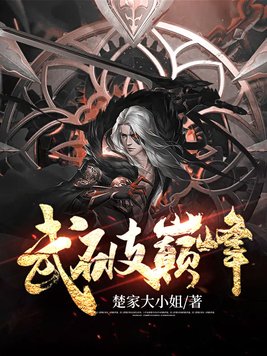 武破巅峰动漫