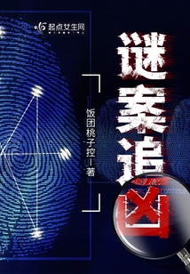 谜案追凶电影免费观看