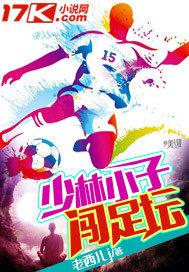 少林小子闯足坛 小说