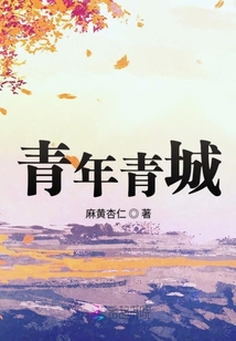 青年城投资集团