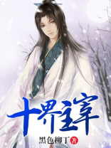 十界主宰 小说