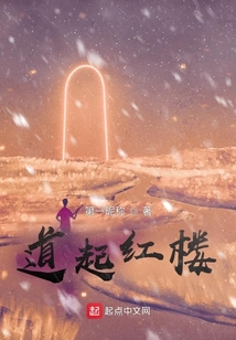 红楼问题及答案100道