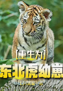 重生为东北虎幼崽吃人参一口气看完