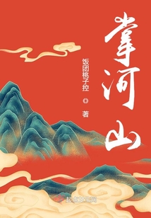 掌河山小说