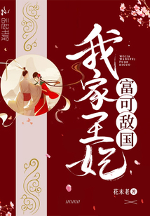 靖王妃偷龙转凤小说我家王妃富可敌国