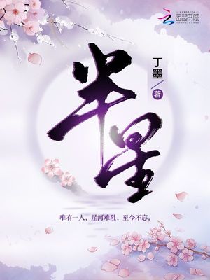 半星丁墨
