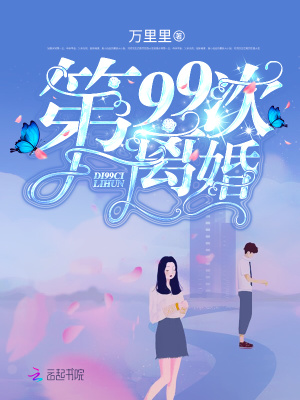 第99次离婚小说