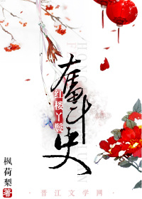 红楼丫鬟奋斗史宝琴