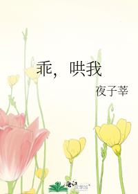 乖哄我小说夜子莘番外百度云