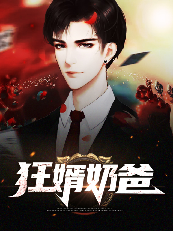狂婿奶爸免费阅读