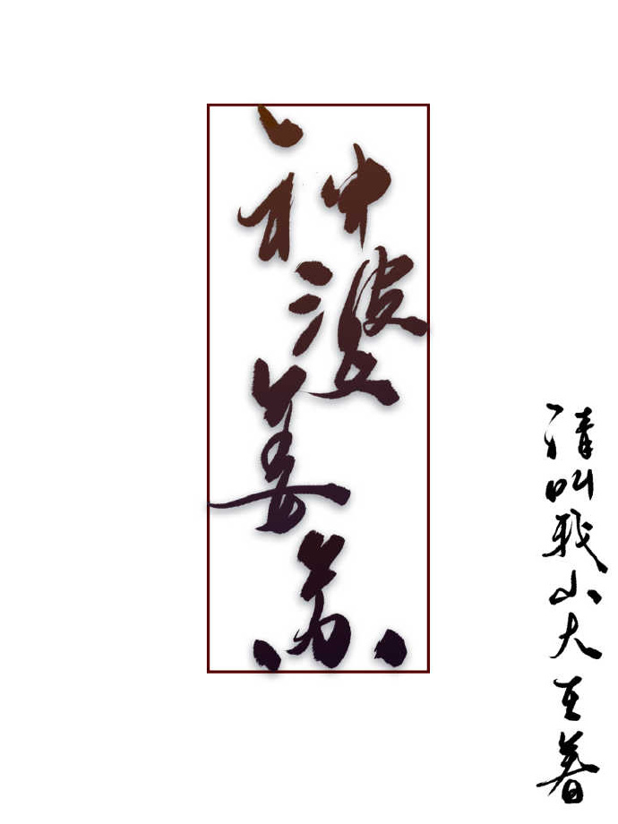 神婆姜苏 小说讲的是什么