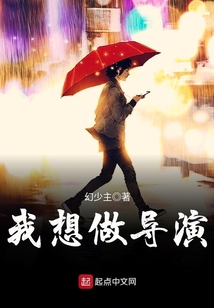 我想做导演 小说
