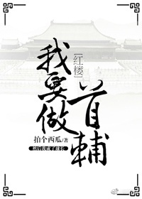 [红楼]我要做首辅 拍个西瓜