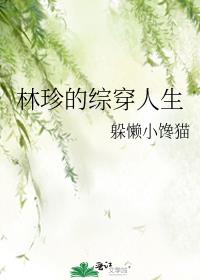 林珍的综穿人生有第二部吗