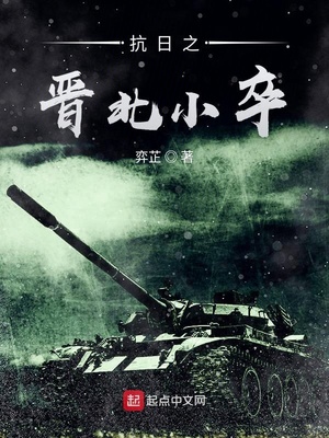 抗日之晋北小卒 弈芷