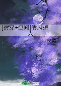 清穿清风也撩人