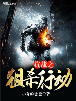 抗战之狙杀行动 小说