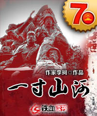 一寸山河一寸血小说