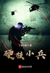硬核小兵全文免费阅读