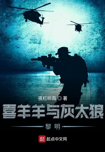 喜羊羊与灰太狼排名