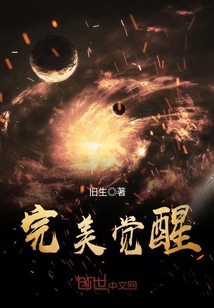 完美觉醒者TXT下载